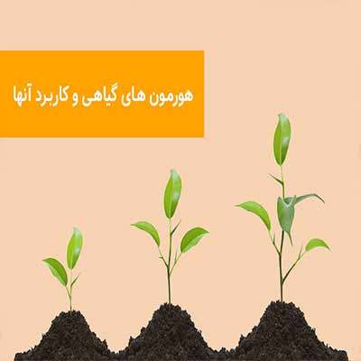 پاورپوینت هورمون های گیاهی و کاربرد آن در گیاه و باغبانی